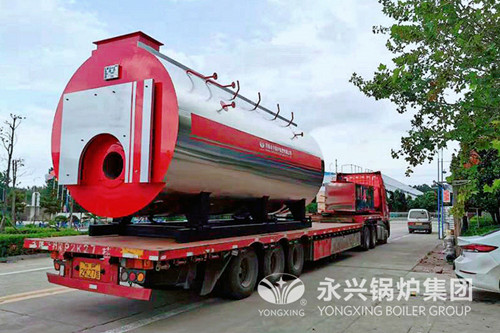 [河南潢川]黄国粮业股份有限公司10吨一体式冷凝锅炉